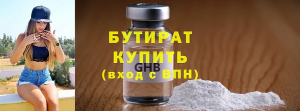 индика Няндома
